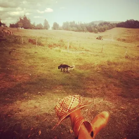 Monte Termine