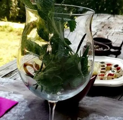 Alojamento de Acomodação e Pequeno-almoço Monte Termine 3*