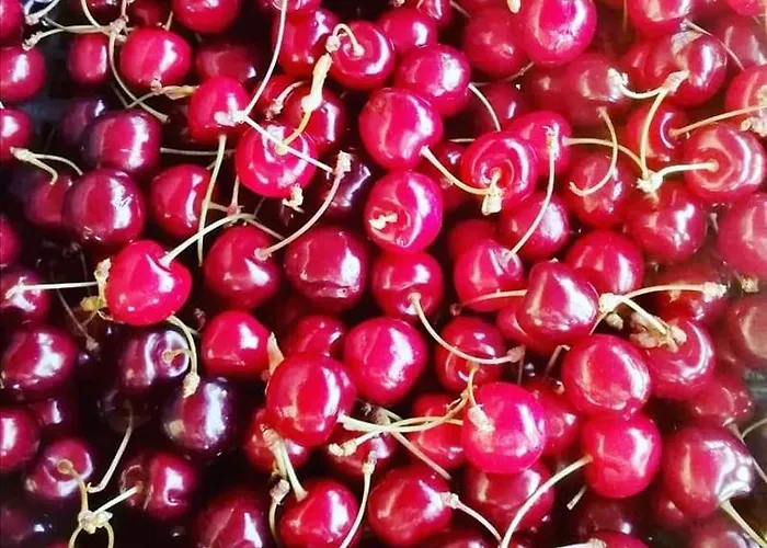 Monte Termine Alojamento de Acomodação e Pequeno-almoço 3*