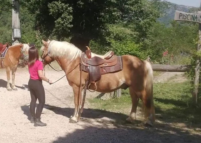 Monte Termine 3* Rioveggio