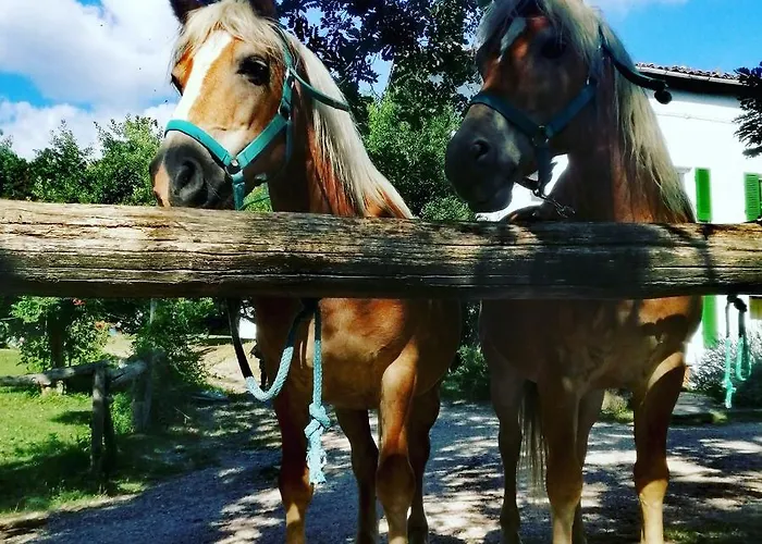 Monte Termine Alojamento de Acomodação e Pequeno-almoço Rioveggio