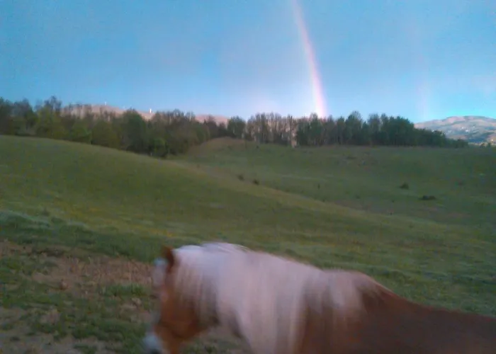 Alojamento de Acomodação e Pequeno-almoço Monte Termine