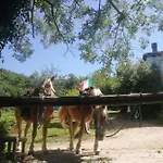 Monte Termine Panzió