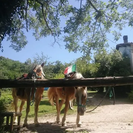Monte Termine Bed & Breakfast