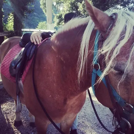 Monte Termine ベッド・アンド・ブレックファスト Rioveggio