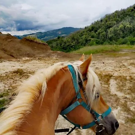 ベッド・アンド・ブレックファスト Monte Termine 3*