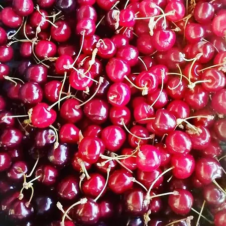 Monte Termine ベッド・アンド・ブレックファスト 3*