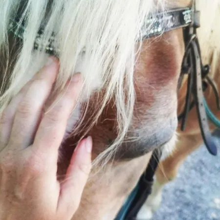 ベッド・アンド・ブレックファスト Monte Termine Rioveggio