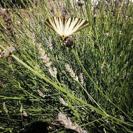 Monte Termine 3* Rioveggio