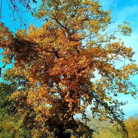 Monte Termine Bed and Breakfast 3*