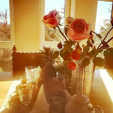 ベッド・アンド・ブレックファスト Monte Termine 3*