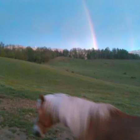 ベッド・アンド・ブレックファスト Monte Termine