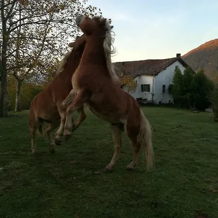 Monte Termine Rioveggio