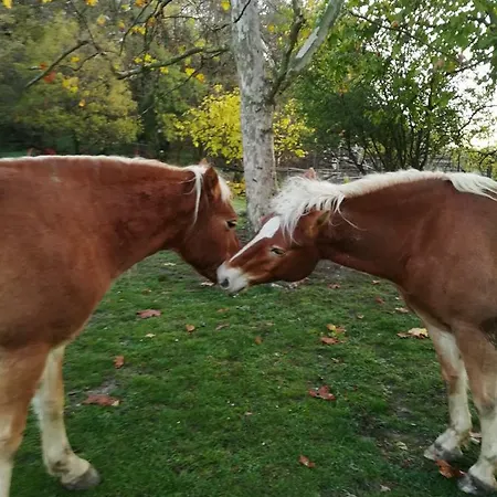 Monte Termine Bed and Breakfast Rioveggio