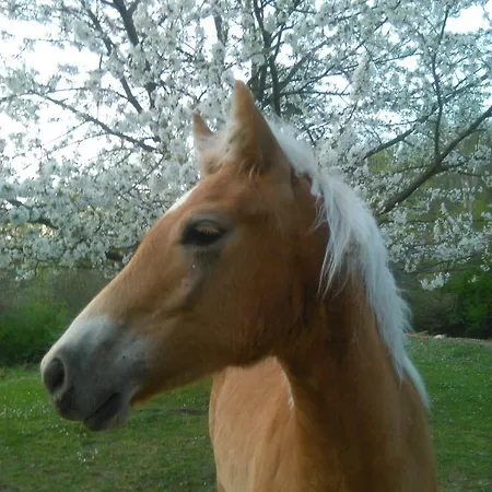 Monte Termine 3* Rioveggio