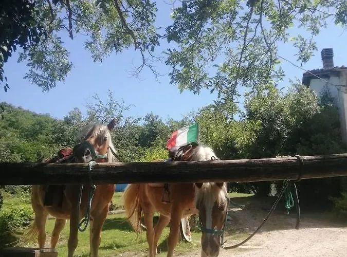 Monte Termine Oda ve Kahvaltı