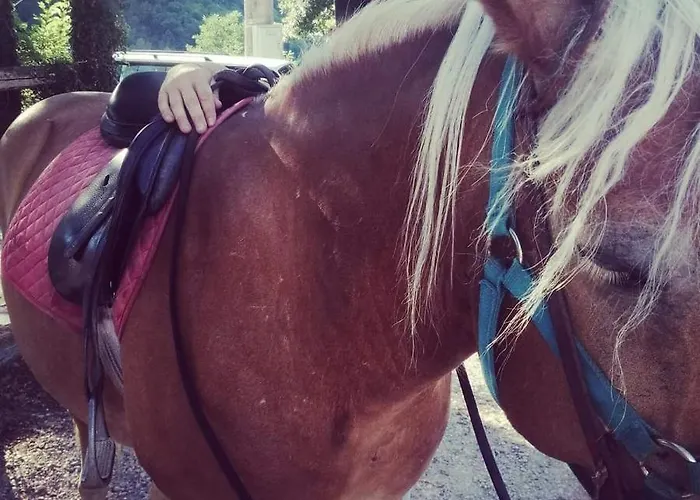 Monte Termine Oda ve Kahvaltı Rioveggio