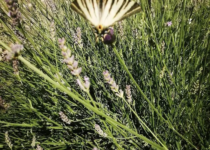 Monte Termine 3* Rioveggio