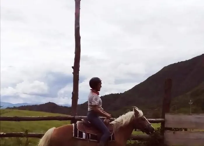 Monte Termine 3* Rioveggio