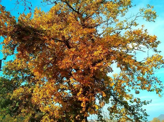 Monte Termine Panzió 3*