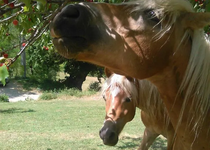 Panzió Monte Termine Rioveggio