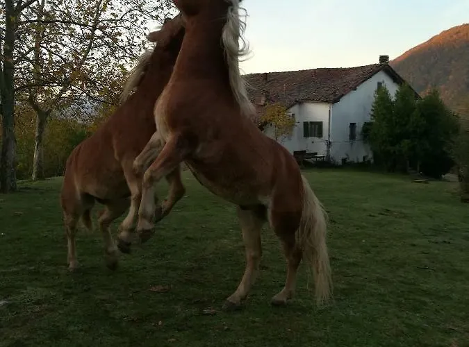 Monte Termine Rioveggio